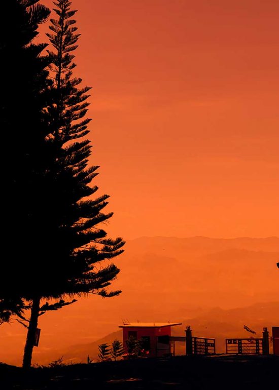 silhouette