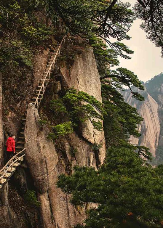 ladder
